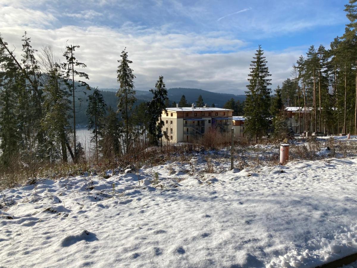 Lipno Port Apartment A103 伏尔塔瓦河畔利普诺 外观 照片