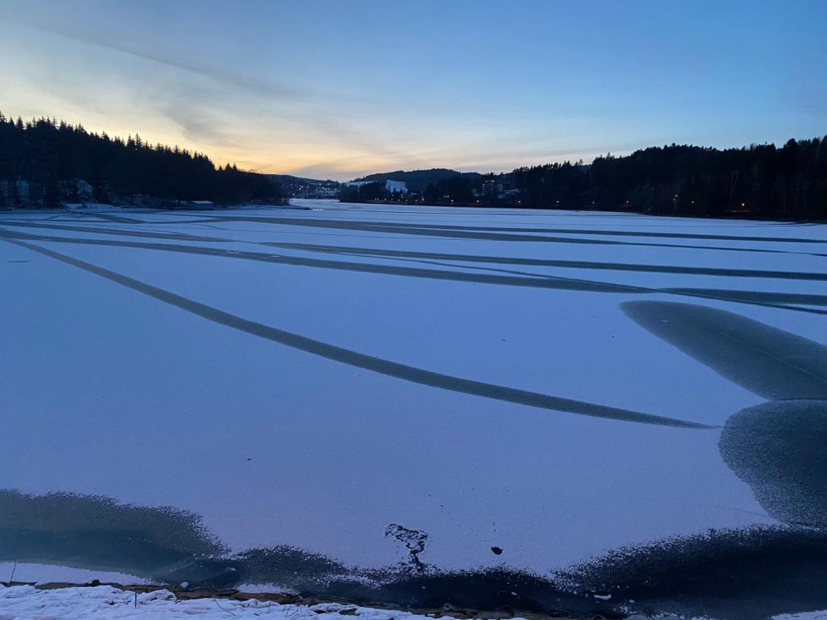 Lipno Port Apartment A103 伏尔塔瓦河畔利普诺 外观 照片
